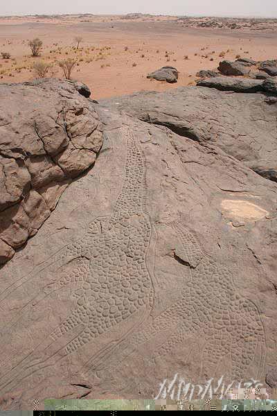 Mud Maps Africa Air Mtns 3127